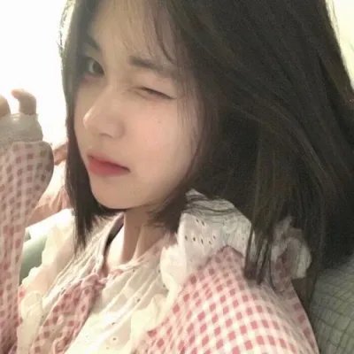 笨金鱼